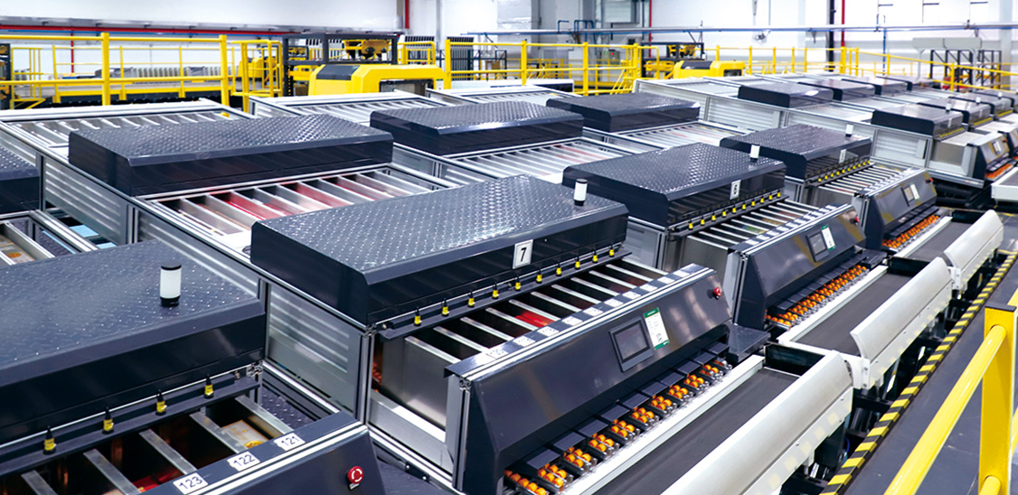 威客电竞·(中国)VKGAME